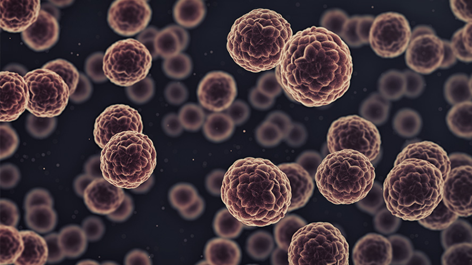 Image of pink/brown cells under a microscope with a black background.